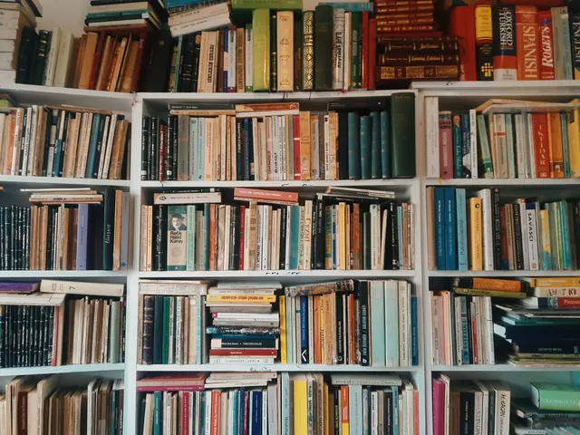Brightly stocked library shelves