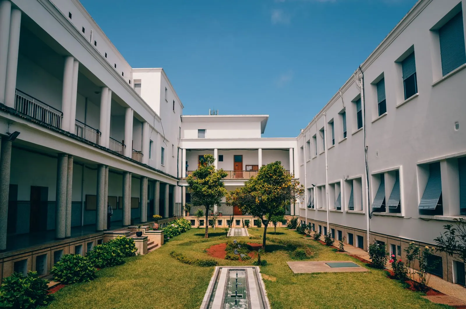 A planted courtyard between modern college buildings