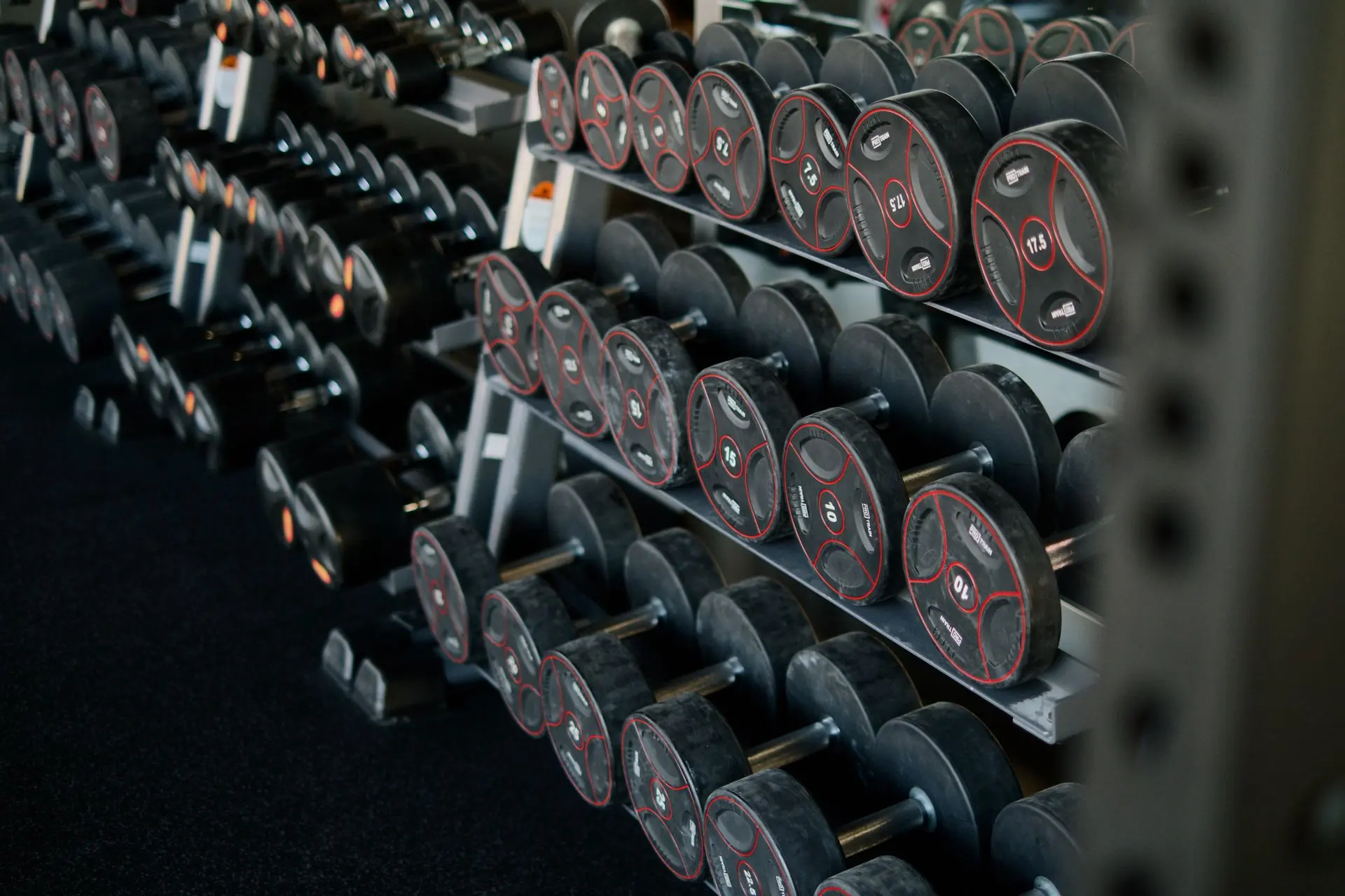 Long rows of dumbbells on racks in a dimly lit free-weights area