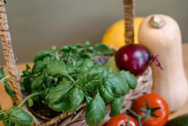 Fresh basil, tomatoes and vegetables on a kitchen counter