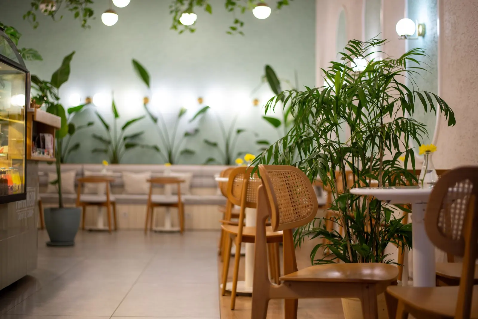 An airy cafe with indoor plants and woven chairs