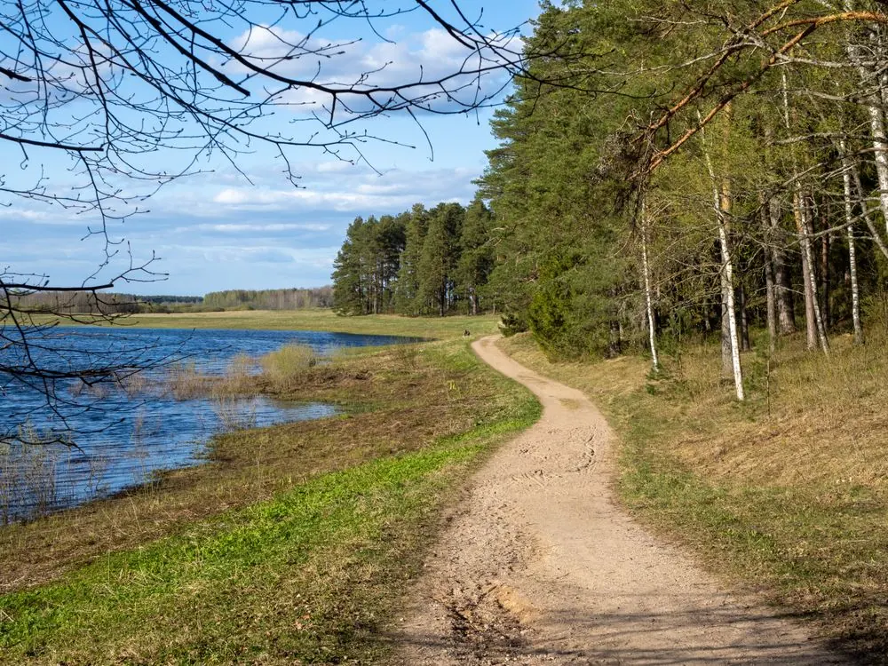 Footpath beside a lake and green woodland