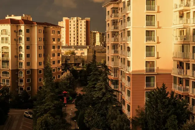 Apartment towers lit by golden evening sun above a park with tall pine trees